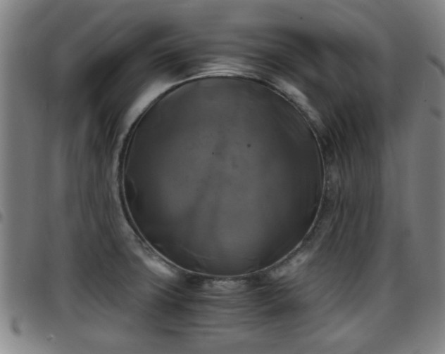 X0000096381427200801311249