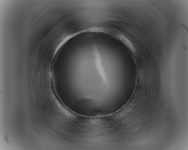 X0000096381428200801311249