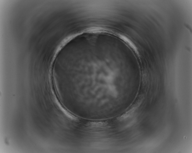 X0000096381429200801311249