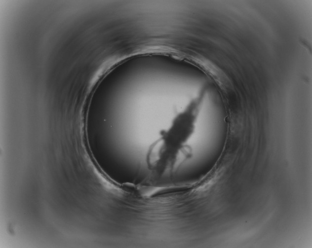 X0000096381430200801311249