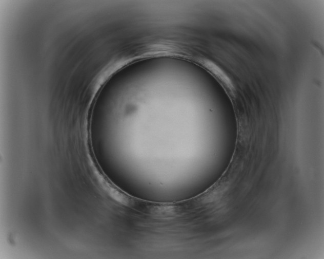 X0000096381431200801311249