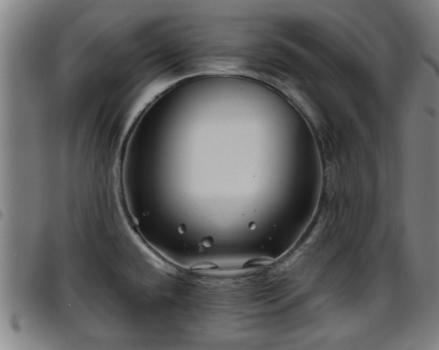 X0000096381432200801311249