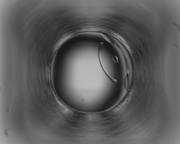 X0000096381433200801311250