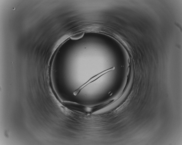 X0000096381434200801311250