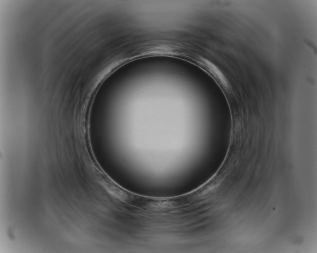 X0000096381435200801311250