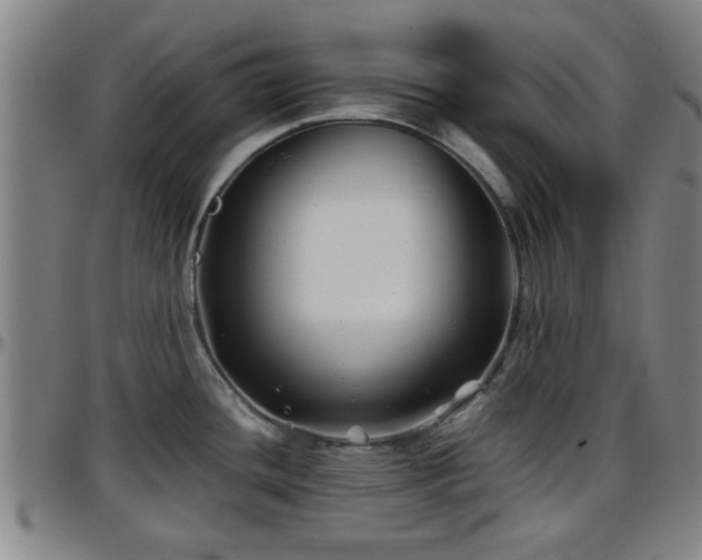 X0000096381436200801311250