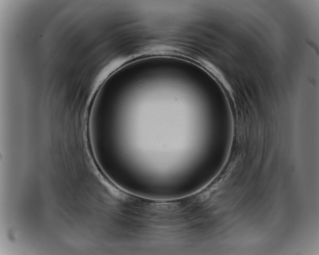 X0000096381437200801311250