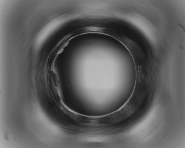 X0000096381438200801311250