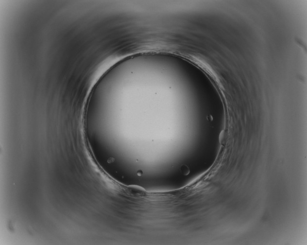 X0000096381440200801311250
