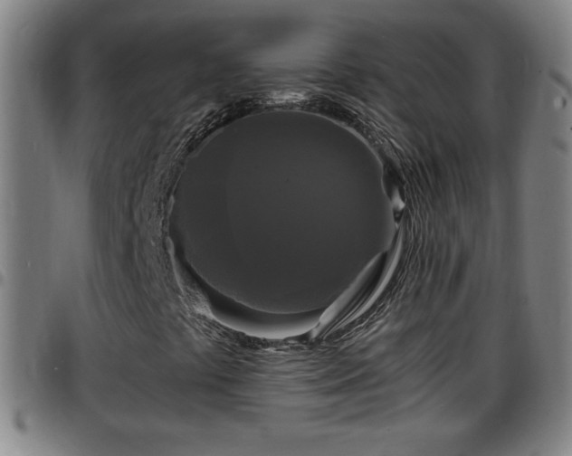 X0000096381441200801311249