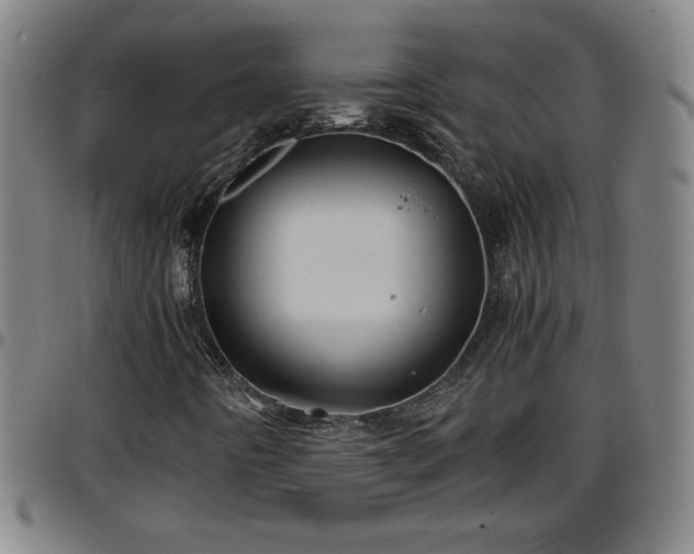 X0000096381442200801311249