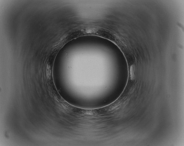 X0000096381443200801311249