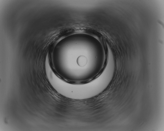 X0000096381444200801311249