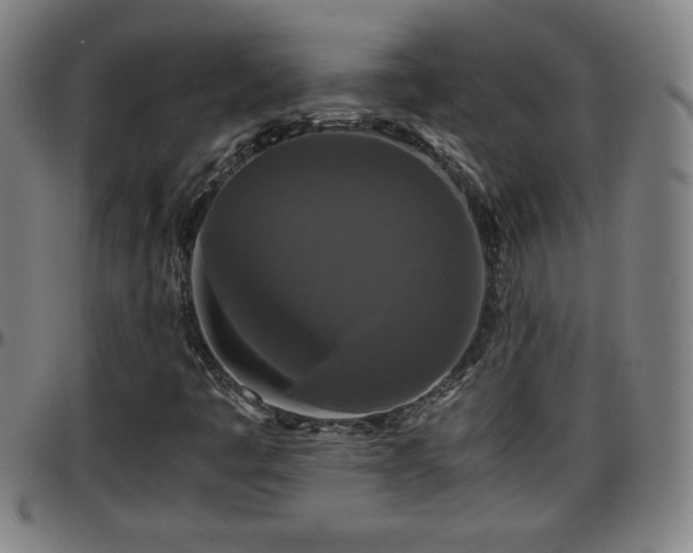 X0000096381445200801311249