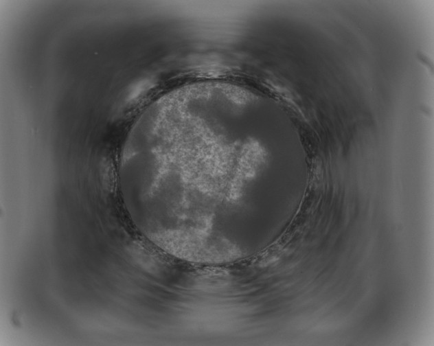 X0000096381446200801311249