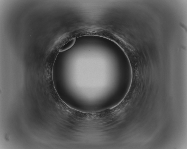 X0000096381447200801311249