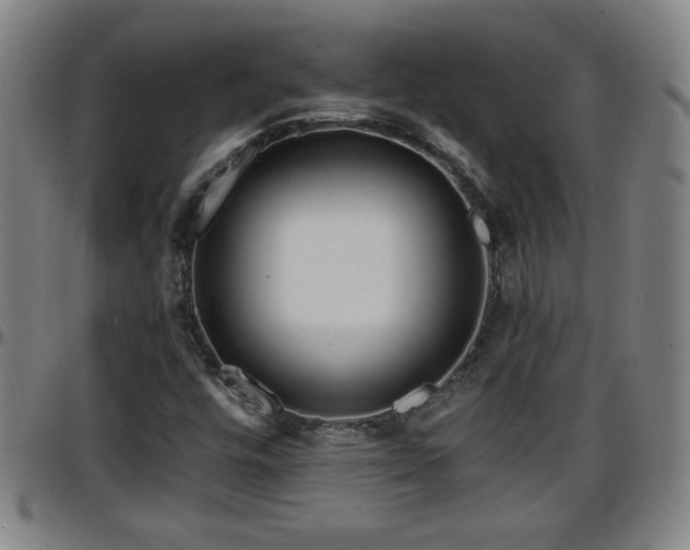 X0000096381448200801311249
