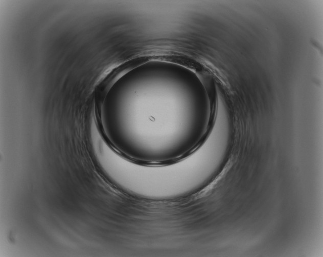 X0000096381449200801311249