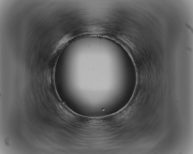 X0000096381451200801311249