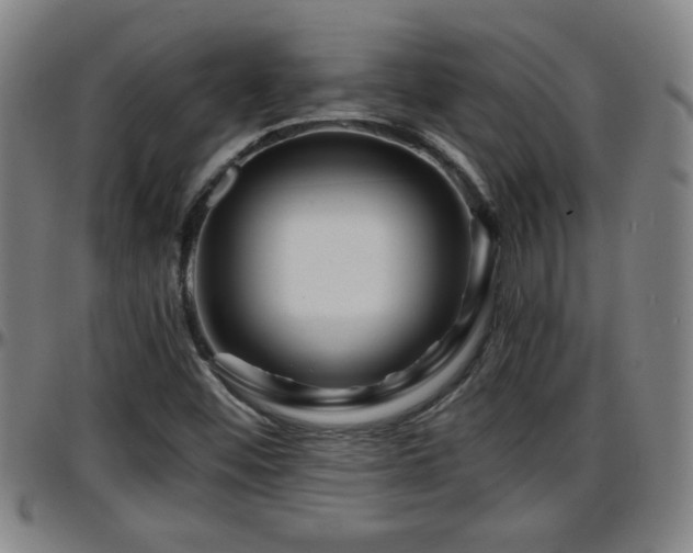 X0000096381452200801311249