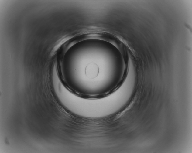 X0000096381453200801311249