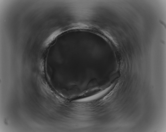 X0000096381455200801311249