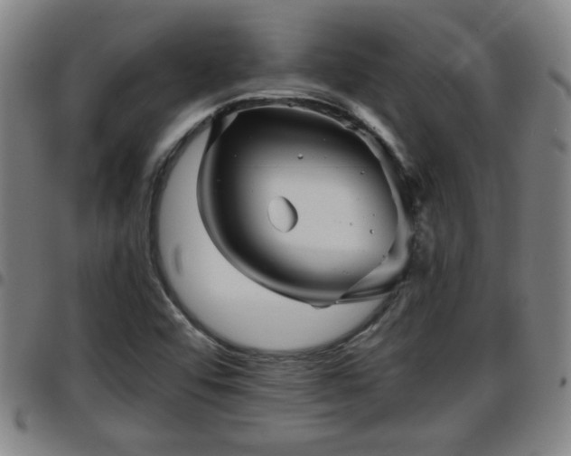 X0000096381456200801311249
