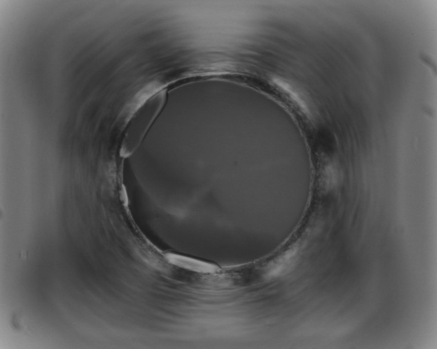 X0000096381457200801311249