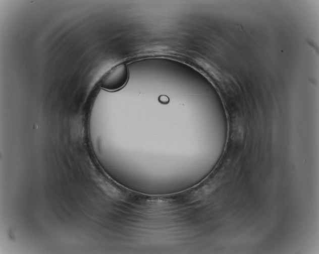 X0000096381458200801311249