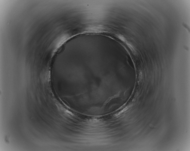 X0000096381459200801311249