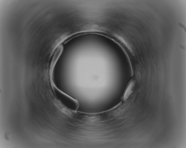 X0000096381460200801311249
