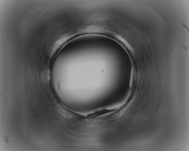 X0000096381461200801311249