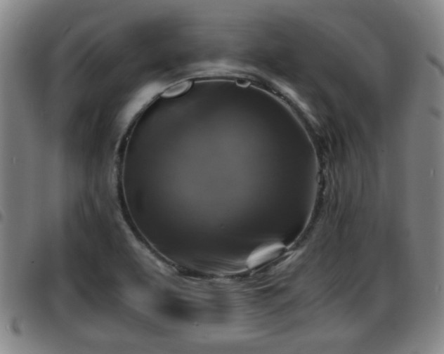 X0000096381463200801311248