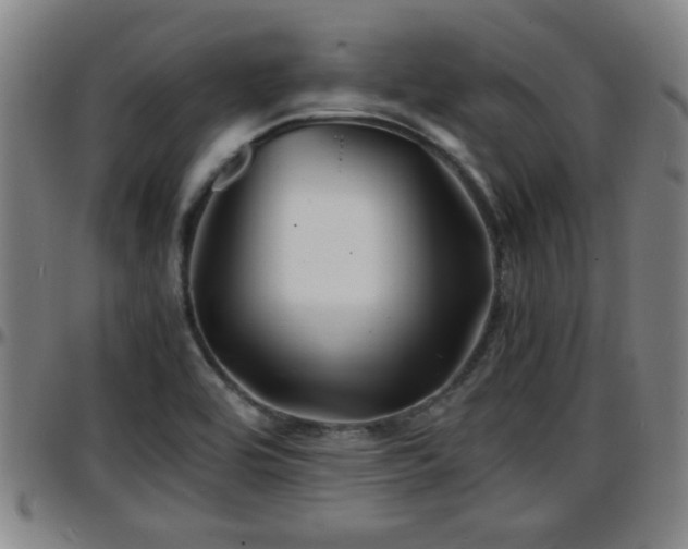 X0000096381464200801311248