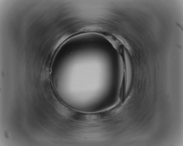 X0000096381465200801311248