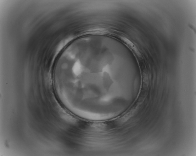 X0000096381466200801311248