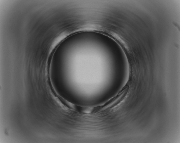X0000096381469200801311248