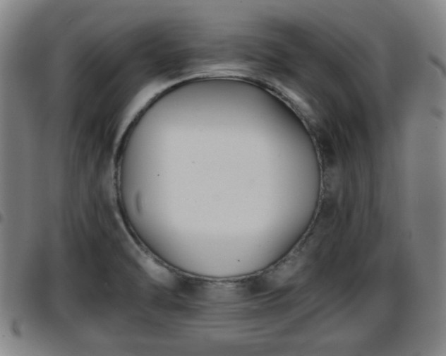 X0000096381470200801311248