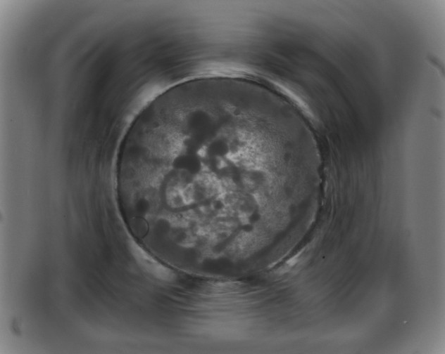 X0000096381471200801311248