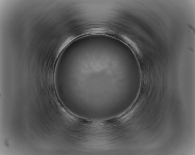 X0000096381473200801311248