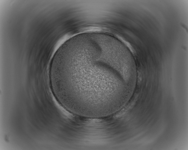X0000096381475200801311248