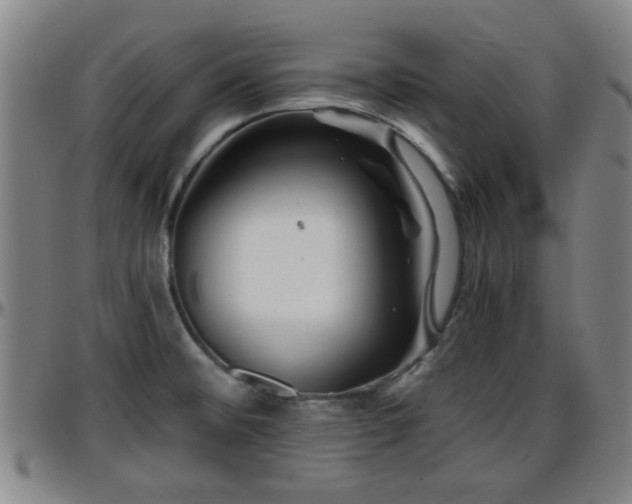 X0000096381476200801311248