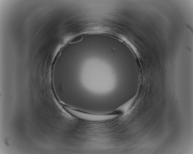 X0000096381477200801311248