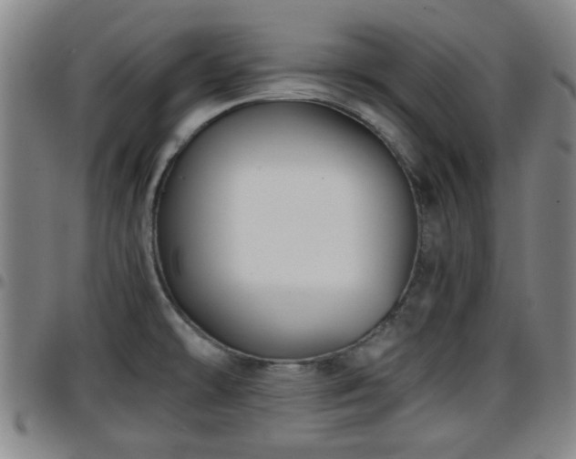 X0000096381478200801311248