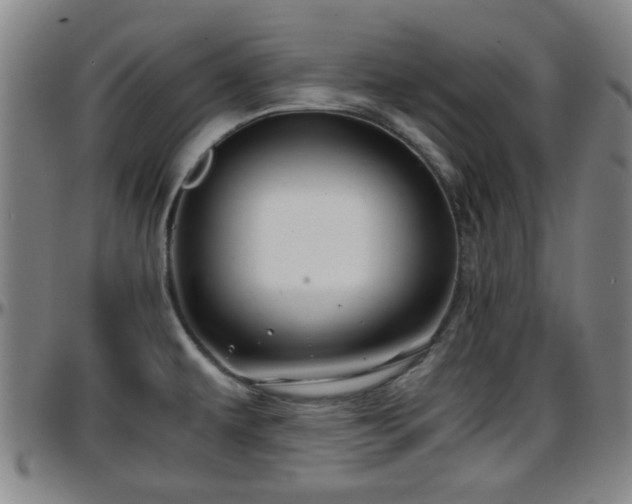 X0000096381479200801311248