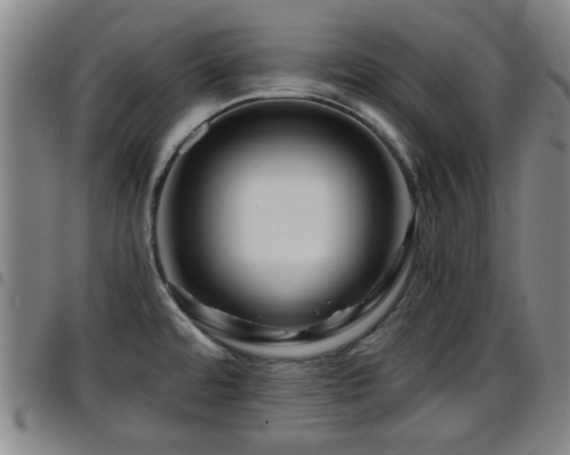 X0000096381480200801311248