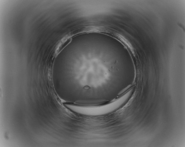 X0000096381481200801311248