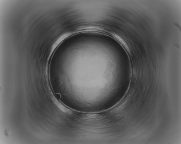 X0000096381482200801311248