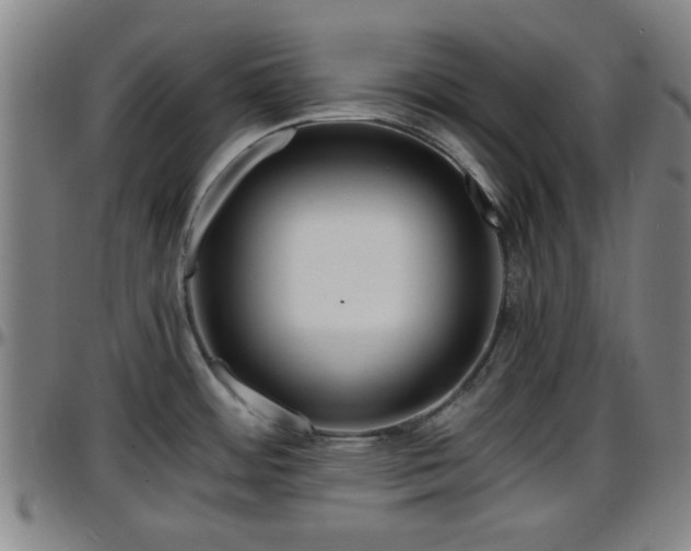 X0000096381484200801311248