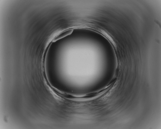 X0000096381485200801311248